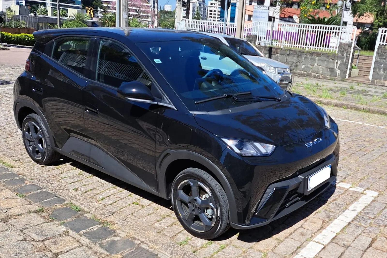 BYD Dolphin Mini negro estacionado, visto de frente y de lado